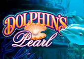 Dolphins Pearl